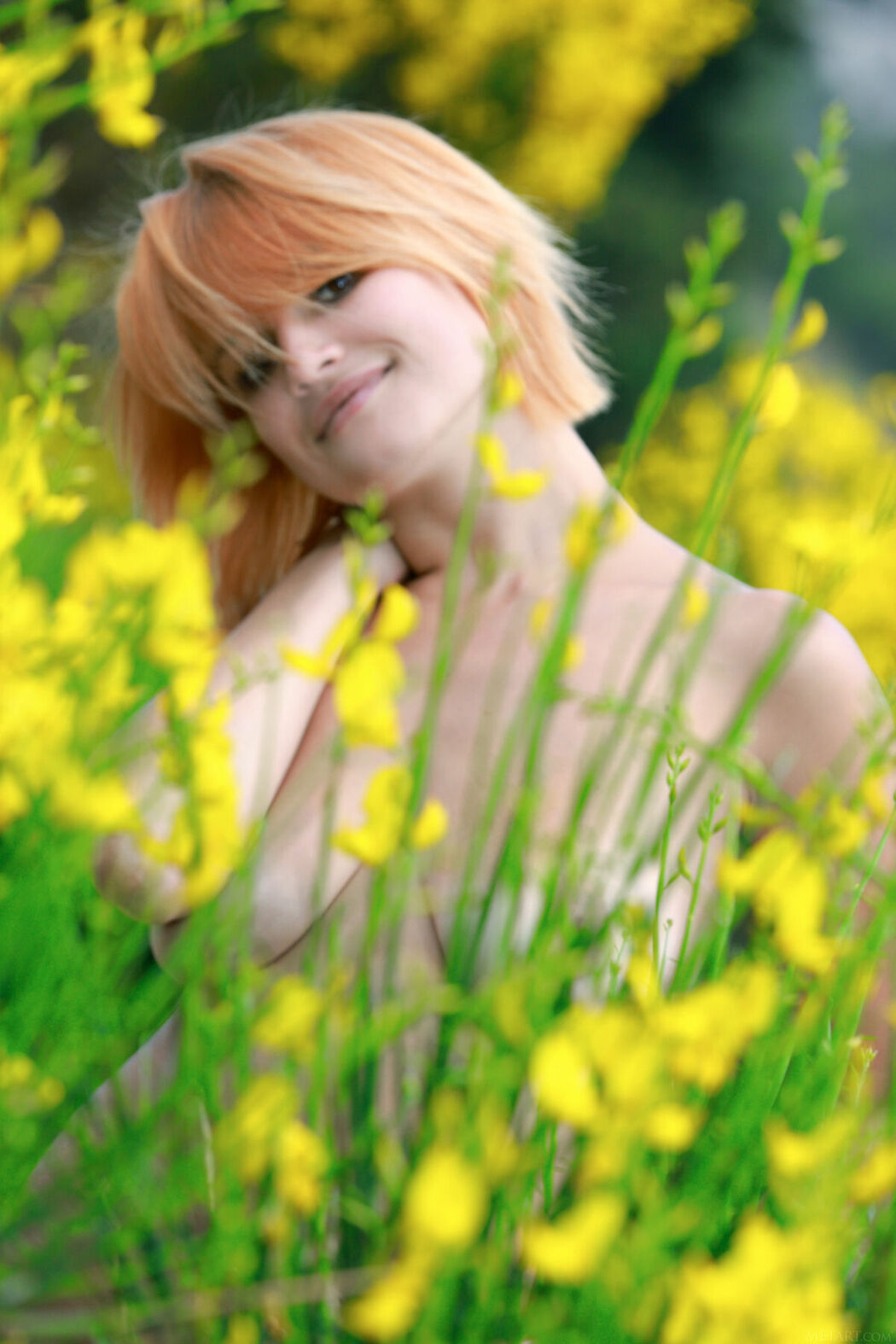 MetArt Violla – Im Golden Part02 (66P)