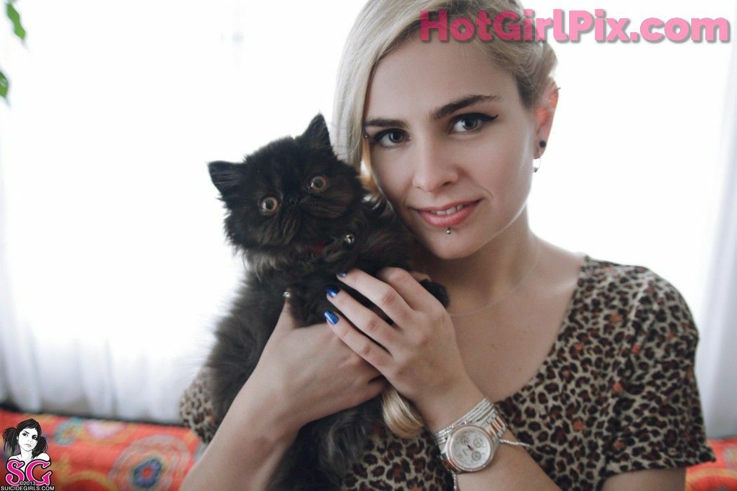 [Suicide Girls] Paloma - Three Cool Cats Cover Photo