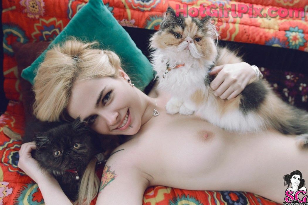 [Suicide Girls] Paloma - Three Cool Cats
