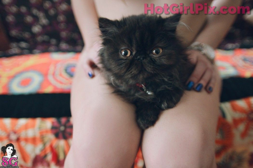 [Suicide Girls] Paloma - Three Cool Cats