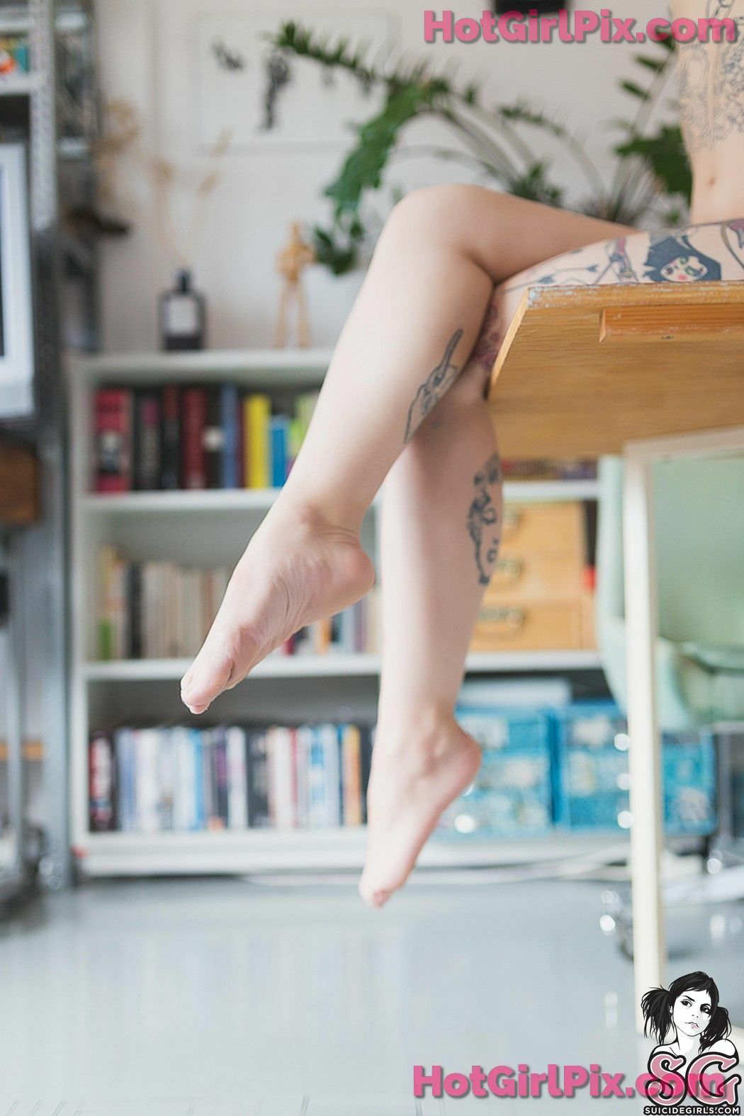 [Suicide Girls] Plumasrojas - The Guest Cover Photo